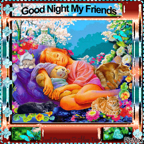 Good Night My Friends