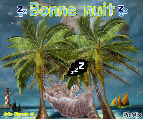 Bonne nuit - 無料のアニメーション GIF