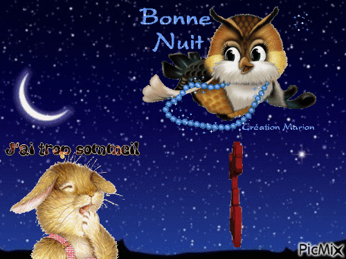 Bonne nuit ! - Animovaný GIF zadarmo