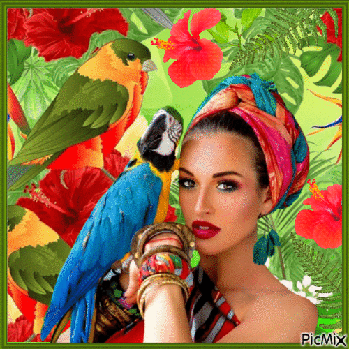 Женщина с попугаем - 無料のアニメーション GIF