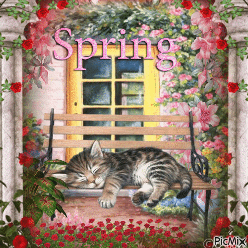 ☆☆ SPRING CAT ☆☆ - Free animated GIF