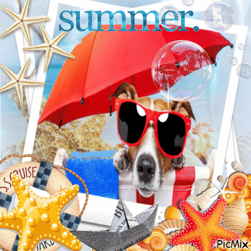 It's Summertime - Free animated GIF