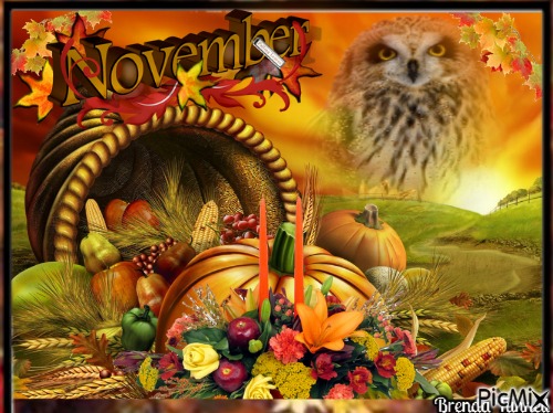 november owl - PNG gratuit