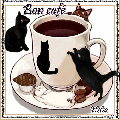 Bon café  les chatons - Darmowy animowany GIF