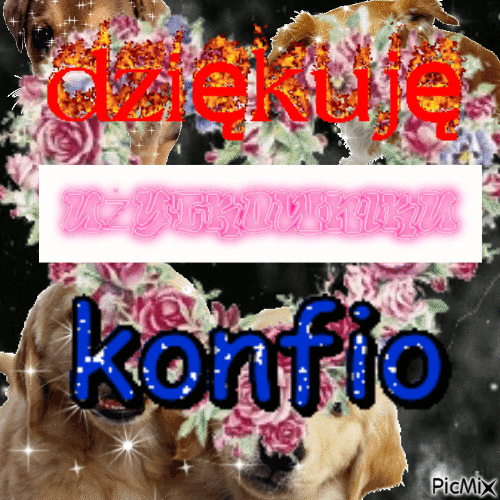 konfio - Δωρεάν κινούμενο GIF