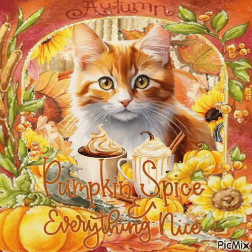 Pumpkin spice autumn cat - GIF animado grátis
