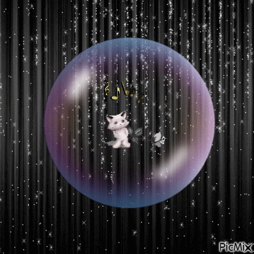 Gatto star - Nemokamas animacinis gif