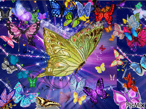Papillon - Free animated GIF