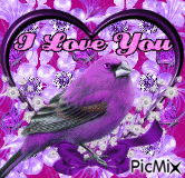 PURPLE DRAWINGS OF FLOWERS FLASHING, DIFFERENT COLORS OF BACKGROUND, PURPLE BUTTERFLIES SPARKLING, A PURPLE HEART WITH A PURPLE BOW, A PURPLE BIRD, AND PURPLE I LOVE YOU. - GIF animado gratis