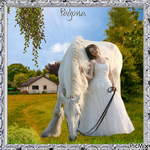 Woman and her horse # contest - Ingyenes animált GIF