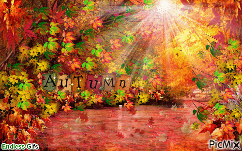 Autumn Day - 無料のアニメーション GIF
