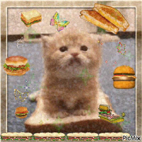 what r u? a cute sandwic - Darmowy animowany GIF