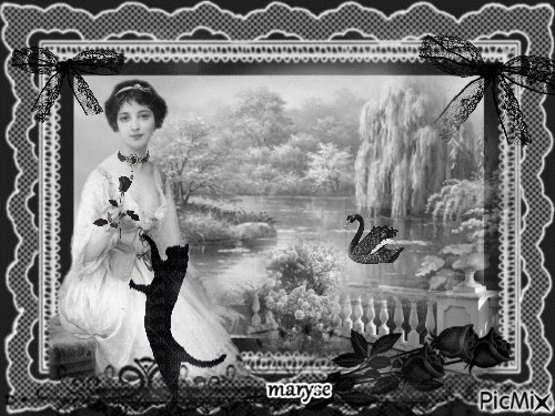 vintage noir et blanc - Ingyenes animált GIF