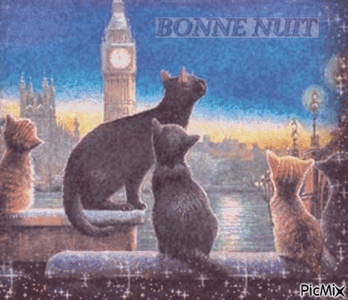 Bonne Nuit - Animovaný GIF zadarmo