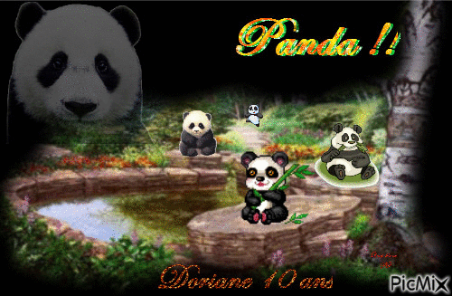 Panda de Doriane - GIF animado grátis