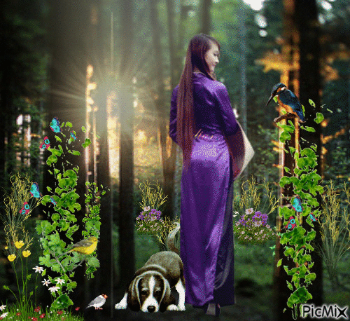 walking in the forest - GIF animado grátis