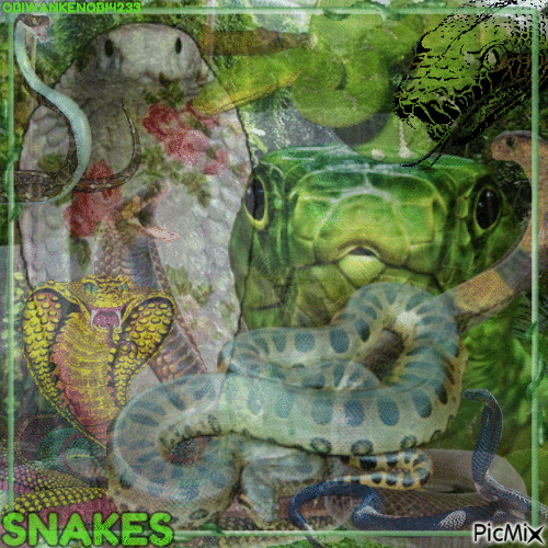 Snakes - GIF animado grátis
