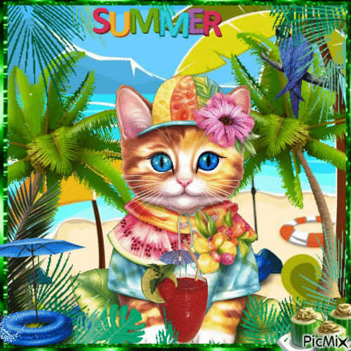Gato de verano en la playa - Zdarma animovaný GIF