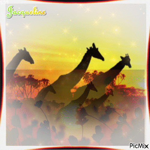 les girafes - GIF animado grátis