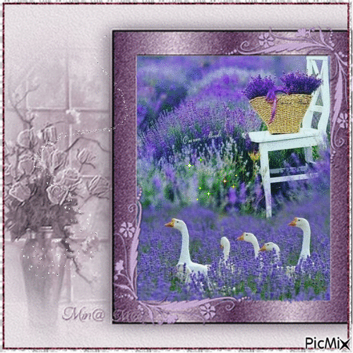 portrait of lavender and geese - GIF animado gratis