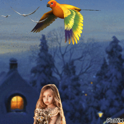 Ciel remplit d'oiseaux - Besplatni animirani GIF