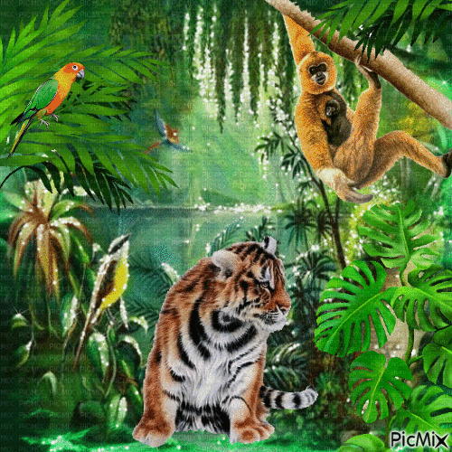Жизнь  джунглей - GIF animé gratuit