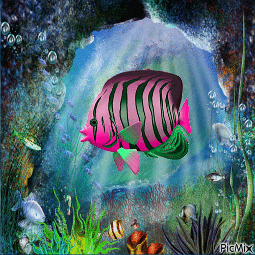 joli poisson tropical - Gratis animeret GIF