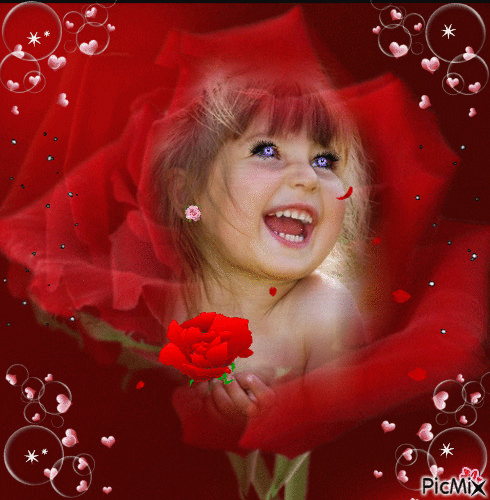 Concours "Un enfant dans une rose" - GIF animé gratuit