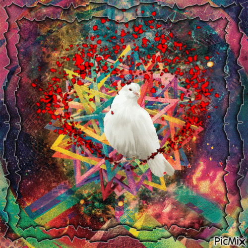 white dove - Ilmainen animoitu GIF