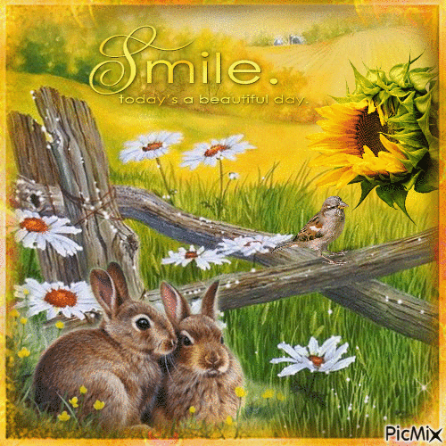 Smile.Today's a beautiful day - Darmowy animowany GIF