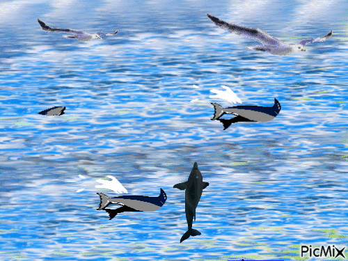 les dauphins - GIF animado grátis