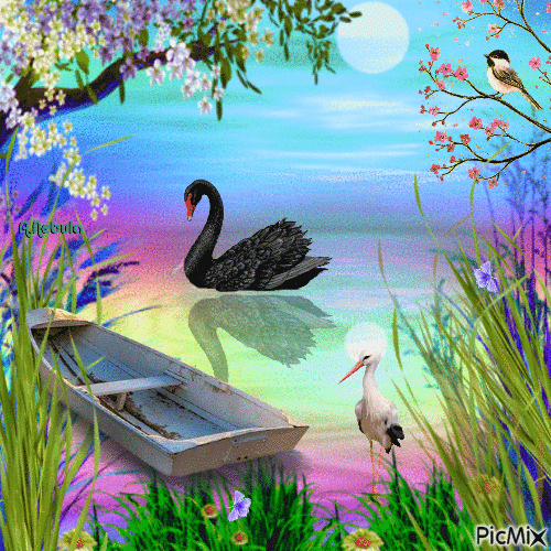 On the shore of the lake/contest - Free animated GIF