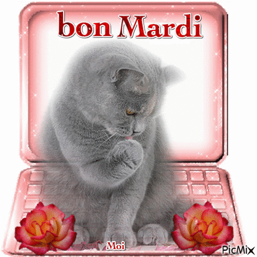 bon mardi moi - Zdarma animovaný GIF