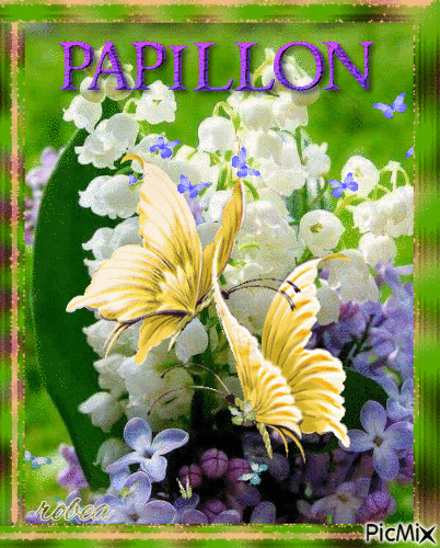 Papillons fleurs - 免费动画 GIF