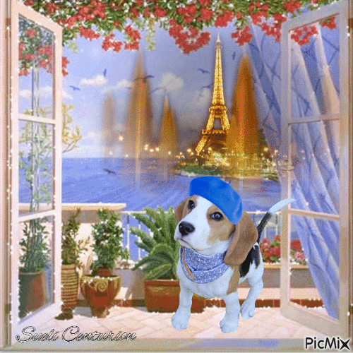 Um cachorrinho em Paris - 無料のアニメーション GIF
