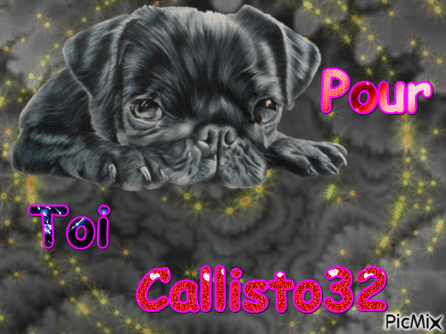 pour toi Callisto32 - Бесплатный анимированный гифка