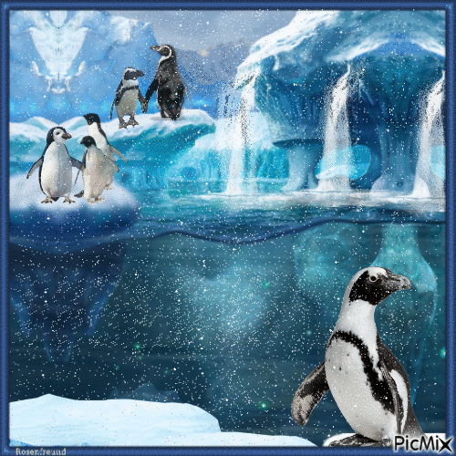 Pinguin - Besplatni animirani GIF
