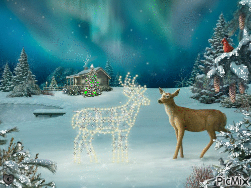 Deer and Northern Light - Free animated GIF