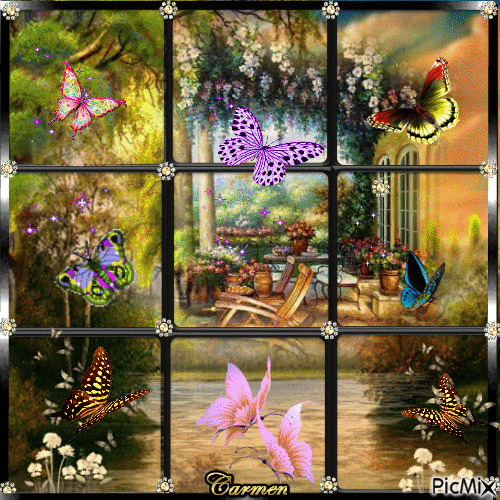 Papillons - Bezmaksas animēts GIF