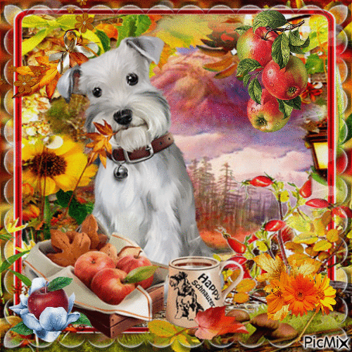 Automne et pomme avec un chien - Ingyenes animált GIF