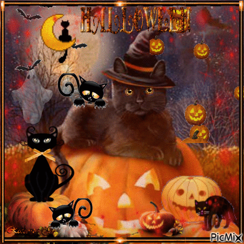Halloween cat - GIF animado gratis