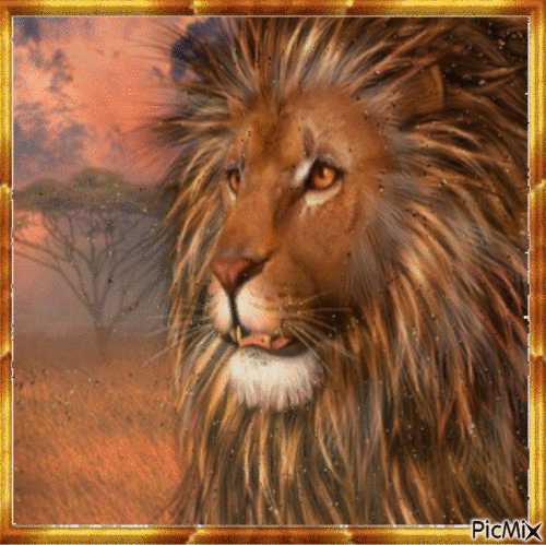LION 1 - GIF animado grátis
