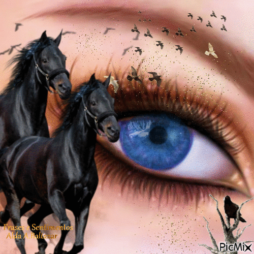 Olhar sobre os cavalos - Ingyenes animált GIF