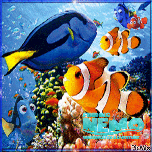 Real Finding Nemo - Bezmaksas animēts GIF