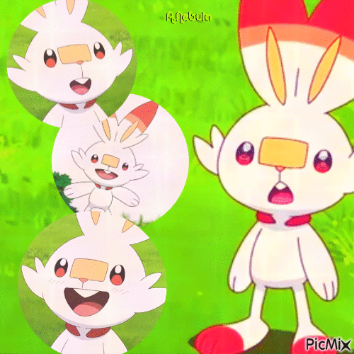 Rabbit Pokemon/contest - GIF animate gratis