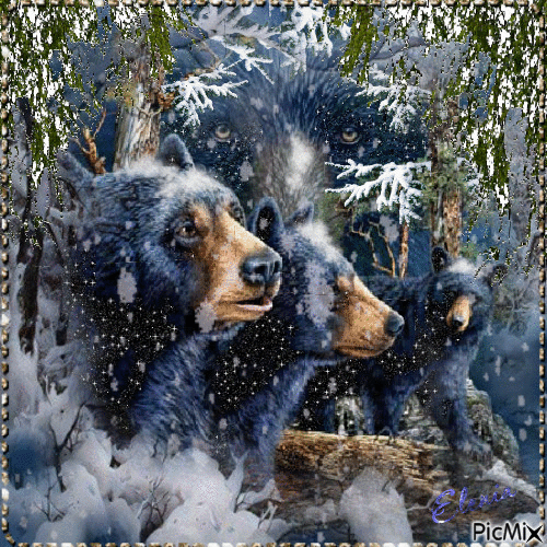 Медведи - Ilmainen animoitu GIF