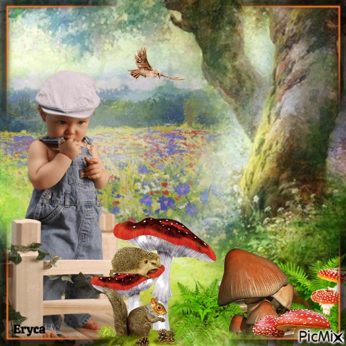 Le petit garçon et les champignons - png ฟรี