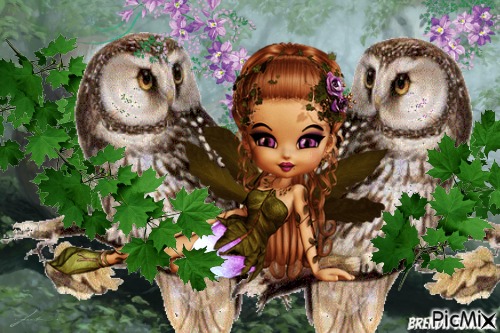 owl  profile - gratis png