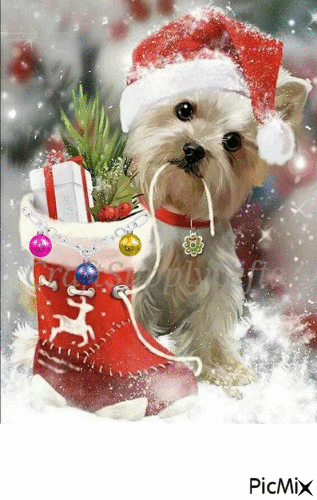little dog christmas - GIF animasi gratis