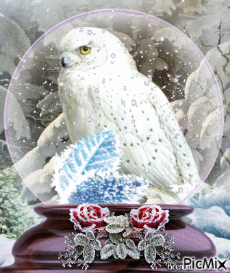 winter owl - GIF animasi gratis